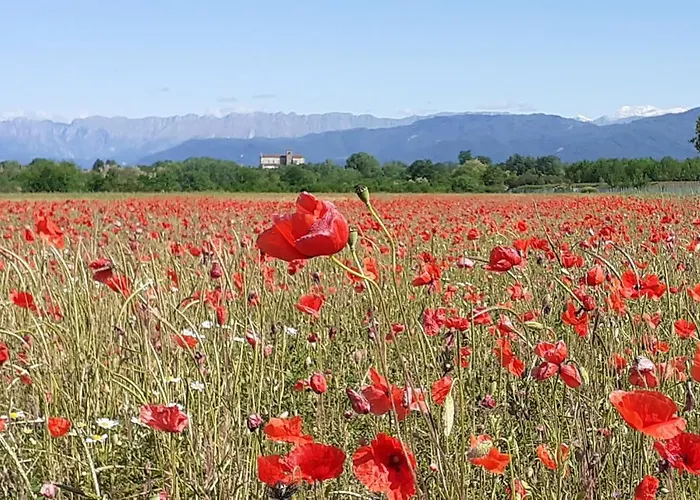 Ca Di Me Bed & Breakfast